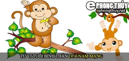 Tử vi tuổi Bính Thân 1956 nam mạng